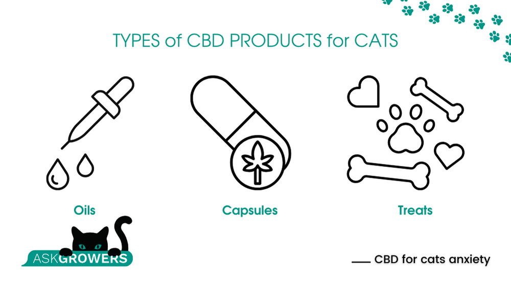 CBD Cat Treats for Anxiety A Natural Solution to Feline Stress